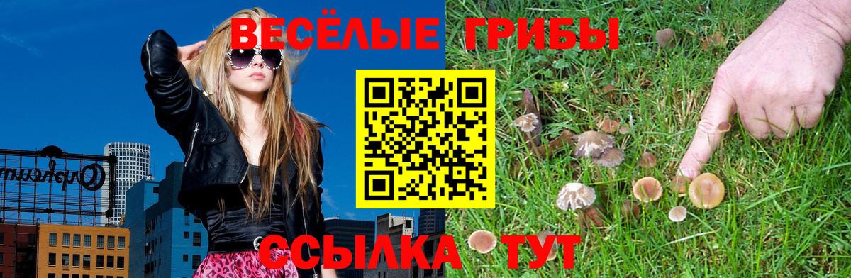 Псилоцибиновые грибы мухоморы Вязники