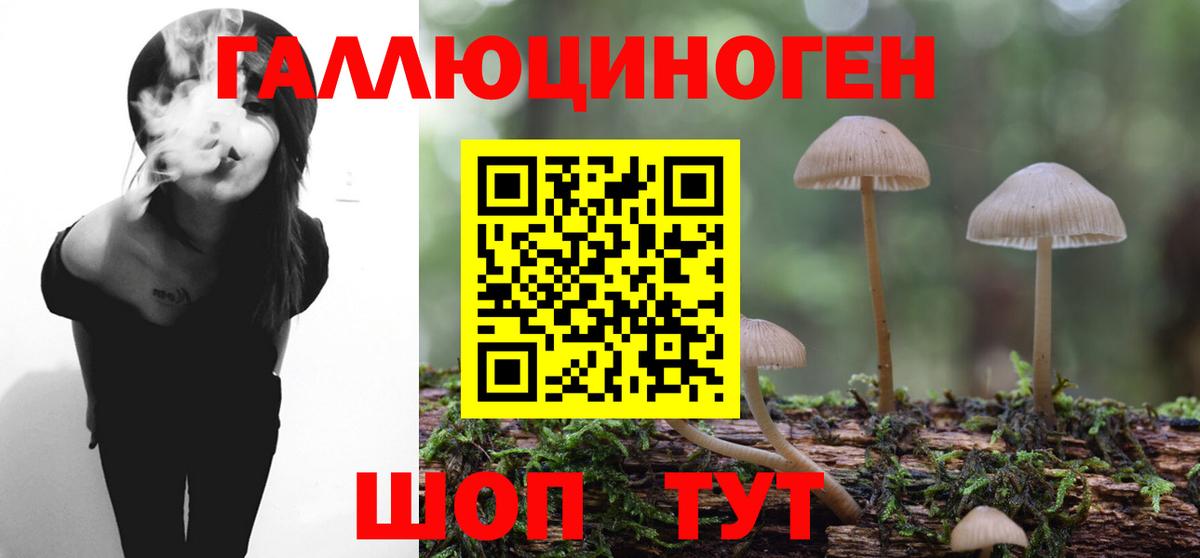 Вязники  Псилоцибиновые грибы MAGIC MUSHROOMS  Вход с VPN 